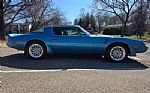 1980 Firebird Trans Am Thumbnail 7