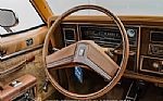 1978 Delta 88 Royale Thumbnail 44
