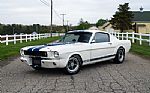 1965 Mustang Fastback GT350 Tribute Thumbnail 1
