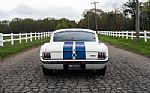 1965 Mustang Fastback GT350 Tribute Thumbnail 15