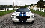 1965 Mustang Fastback GT350 Tribute Thumbnail 19