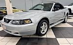 2002 Mustang Thumbnail 6