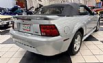 2002 Mustang Thumbnail 28
