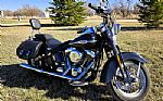 2005 Softail Thumbnail 3