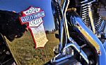2005 Softail Thumbnail 6