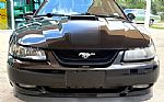 2003 Mustang Thumbnail 2