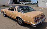 1978 Thunderbird Thumbnail 14