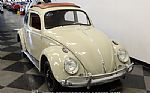 1962 Beetle Custom Thumbnail 15