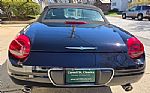 2002 Thunderbird Thumbnail 4