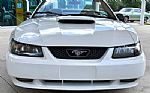 2001 Mustang Thumbnail 2