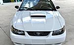 2001 Mustang Thumbnail 3