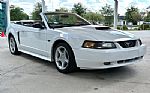 2001 Mustang Thumbnail 4