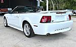 2001 Mustang Thumbnail 9