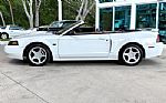 2001 Mustang Thumbnail 10