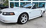 2001 Mustang Thumbnail 12