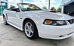 2001 Mustang Thumbnail 19