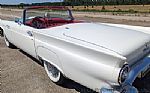 1957 Thunderbird Thumbnail 19