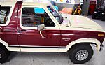 1983 Bronco XLT 4x4 Thumbnail 3
