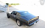 1979 Firebird Trans-Am Thumbnail 5