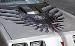 1979 Trans Am 10th Anniversary Edit Thumbnail 10