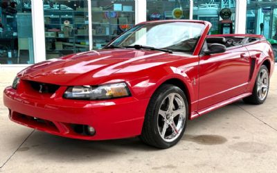 Photo of a 1999 Ford Mustang SVT Cobra Base 2DR Convertible for sale