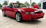1999 Mustang SVT Cobra Thumbnail 4