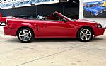 1999 Mustang SVT Cobra Thumbnail 5