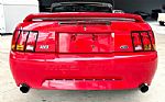 1999 Mustang SVT Cobra Thumbnail 7