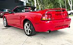 1999 Mustang SVT Cobra Thumbnail 9