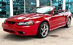 1999 Mustang SVT Cobra Thumbnail 11