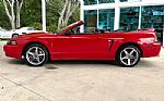 1999 Mustang SVT Cobra Thumbnail 10