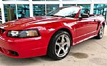 1999 Mustang SVT Cobra Thumbnail 12