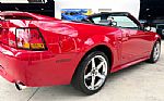 1999 Mustang SVT Cobra Thumbnail 16