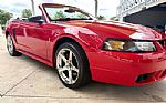 1999 Mustang SVT Cobra Thumbnail 19