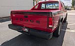 1989 Dakota Shelby Thumbnail 5