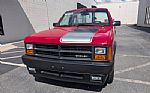 1989 Dakota Shelby Thumbnail 10