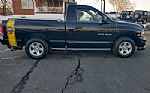 2004 Ram 1500 Rumble Bee Thumbnail 6