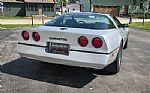 1984 Corvette Thumbnail 13