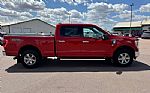 2023 F-150 Thumbnail 25