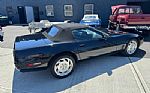 1994 Corvette Thumbnail 6