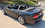 2007 Mustang Shelby Super Snake 100 Thumbnail 6