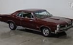 1966 GTO Thumbnail 6