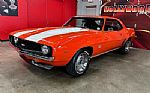 1969 Camaro SS TRIBUTE Thumbnail 3