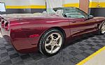 2003 Corvette Convertible 50th Anni Thumbnail 4
