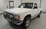 1993 S10 Thumbnail 1