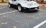 1981 Corvette Thumbnail 2