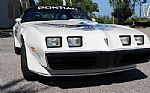 1981 Trans Am Daytona Pace Car Thumbnail 24