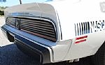 1981 Trans Am Daytona Pace Car Thumbnail 35