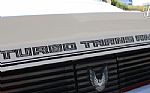 1981 Trans Am Daytona Pace Car Thumbnail 33