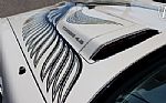 1981 Trans Am Daytona Pace Car Thumbnail 44